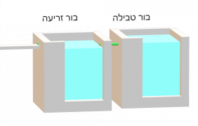 Two borot (Chatom Sofer, Chazon Ish)