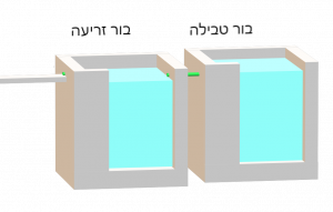 Mikva two borot zeriya.png