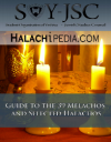 link=http://www.halachipedia.com/documents/Shabbos_Packet.pdf Guide to the 39 Melachos