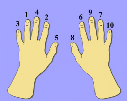 Fingernails order.jpg