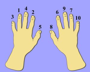 Fingernails order.jpg